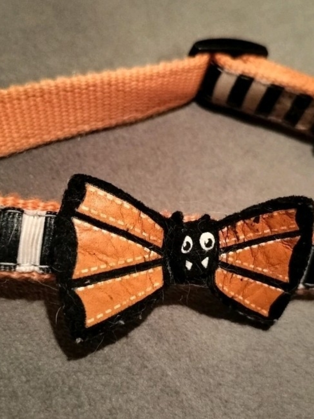 Martha Stewart Orange and Black Bat Bow Tie Dog Collar For 14 To 16 In Neck